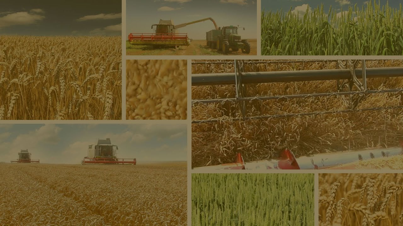 Understanding Precision Agriculture using Data and Analytics