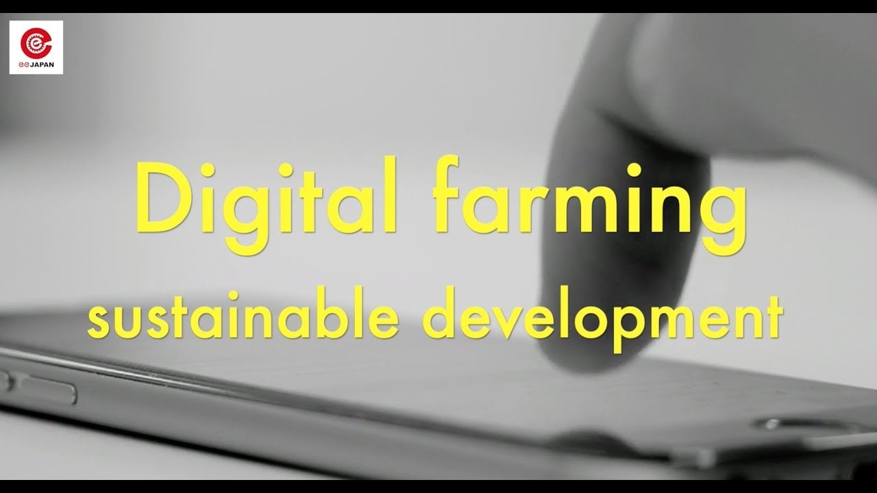 Japanese Sustainable Agriculture: Digital Farming with AI and Internet Of Things (IoT)